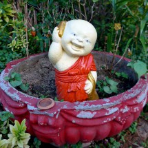 Little Buddha with Smartphone